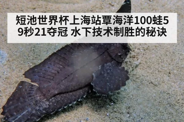 短池世界杯上海站覃海洋100蛙59秒21夺冠 水下技术制胜的秘诀
